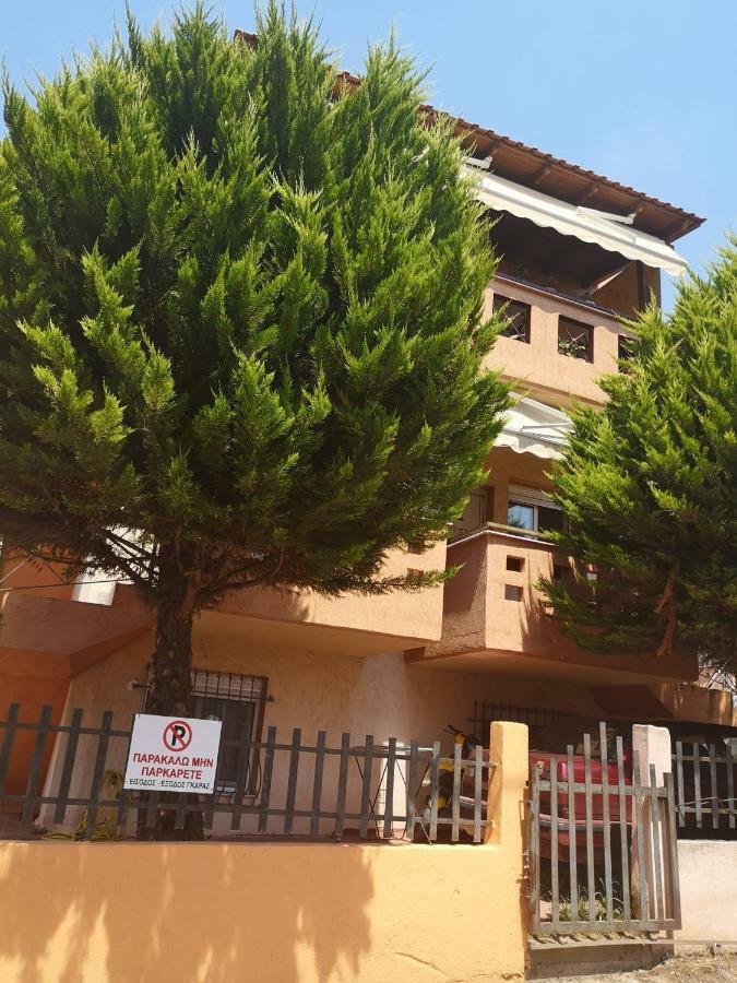 Greca Mare-Traditional Greek Boutique Apt. Psakoudia Dış mekan fotoğraf